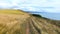 Scenic shot of grass fields on a cliff overlooking a coast