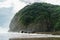 scenic shot of green cliff on ocean coastline on cloudy day, Piha beach,