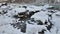 Scenic shot of snow-covered rocks and stones on the bank of a river in The Whirlpool Trail, Canada