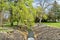 Scenic shot of a stream in the park at Glen Innes, Australia