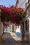 Scenic small road in the former fisher village of Ferragudo at the Algarve coast in Portugal