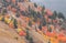 Scenic Snake River Canyon Landscape in Autumn