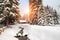 Scenic snow-covered trees and wooden house in winter forest