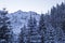 Scenic snowy trail in the Carpathian Mountains