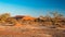 The scenic Sossusvlei and Deadvlei, clay and salt pan with braided Acacia trees surrounded by majestic sand dunes. Namib Naukluft