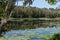 Scenic South Carolina vista at a historic plantation near Charleston