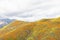Scenic spring landscape of bright orange vibrant vivid golden meadows and hills of California poppies, seasonal native plant set