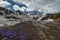 Scenic spring landscape shot in Bulgarian mountain with purple crocuses and snowy peaks