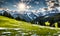 Scenic spring: Meadow with snowy mountains in background