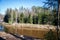 Scenic spring river view in forest with green foliage tree leaf and low water with rocks and sand in stream