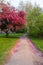 Scenic Springtime View of a Winding Garden Path Lined by Beautiful Cherry Trees in Blossom at Whitworth Park in Manchester