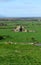 Scenic Stone Ruins of Hore Abbey