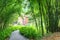 Scenic stone walkway among ferns and green bamboo trees