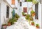 Scenic street with old houses in Anafiotika in Plaka district, A