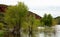 Scenic summer Colorado landscape. Trees in the water.