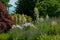 Scenic summer flower bed featuring several white yucca filamentosa, phloxes, thistles and lavender