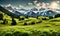 Scenic summer: Meadow with snowy mountains in background