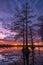 Scenic sunset, cypress silhouettes, Illinois