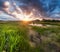 Scenic sunset over a swampy stream, marsh