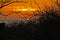 Scenic sunset sun going to the ocean seen through tree branch in Galapagos islands