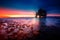 Scenic surroundings after the tide in dusk. Location place Hvitserkur, island Iceland, Europe.