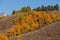 Scenic Teton Fall Landscape