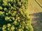 Scenic top down view of field near forest in Finnish countryside