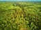 Scenic top down view of mixed forest in Finnish countryside