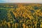 Scenic top down view of mixed forest in Finnish countryside, at sunset