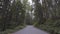 Scenic Trail in the Canadian Rain Forest.