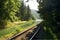 Scenic train tracks, Forest and river create picturesque summer vista