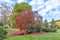 Scenic trees in indian summer colors in Wiesbaden in the Nero valley