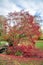 Scenic trees in indian summer colors in Wiesbaden in the Nero valley