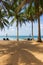 Scenic tropical beach with palm trees and sun beds, vertical. Idyllic resort background. Vacation on seacoast. Travel concept.