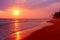 Scenic tropical beach with palm trees at sunset background, Sri Lanka