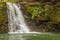 Scenic Tropical Maui Waterfall