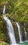 Scenic Tropical Maui Waterfall