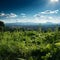 Scenic urban blend Grass field in 3D rendering against city background vista