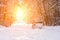 scenic veiw of empty road with snow covered landscape while snowing in winter season. Nature