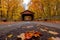 Scenic view of an abandoned covered bridge surrounded by a blanket of autumn foliage in Michigan