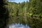 Scenic view of Adirondacks river and trees in lake placid new york area