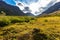 Scenic view of Alaskan Flattop Glen Alps in Summer