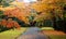 Scenic view of an alley through an autumn forest in beautiful Katsura Imperial Villa  Royal Park