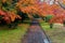 Scenic view of an alley through an autumn forest in beautiful Katsura Imperial Villa  Royal Park