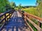 Scenic view along wooden footbridge hiking path