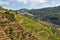 Scenic view of Alto Douro Vinhateiro, Portugal