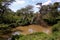 Scenic view of Athi River at Nairobi National Park, y