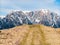 Scenic view from Baiului Mountains with the snowy peaks of Bucegi Mountains.