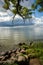 Scenic view of the Baltic Gulf through tree branches