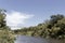 Scenic view of the beautiful, peaceful River with ducks. Summer background, green trees